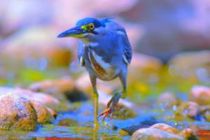 欧洲杯3 3体彩票,一场足球盛宴背后的概率与机遇欧洲杯3 3体彩票