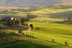 大象预言，德国队的奇迹与现实的差距欧洲杯德国大象预言